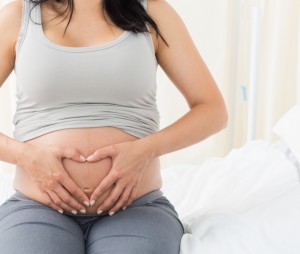 gravid